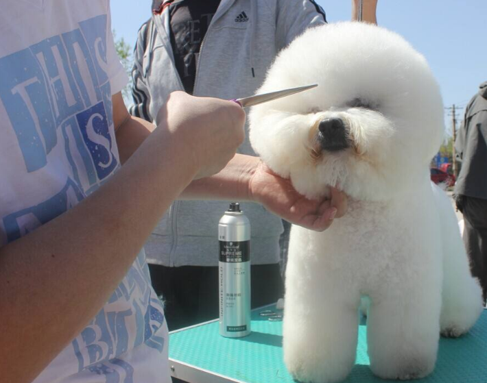 爱犬宠物店洗了个澡第二天就死亡,遭美容师猛