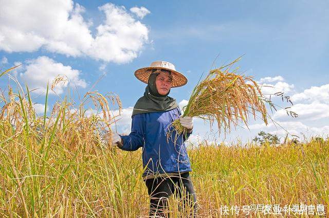 下个月这项补贴发放，几乎每家都有，一户500元，但6类人除外