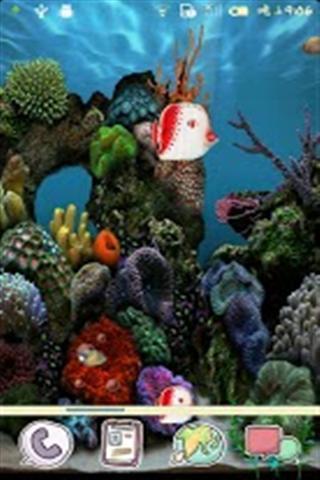 海洋水族馆动态壁纸