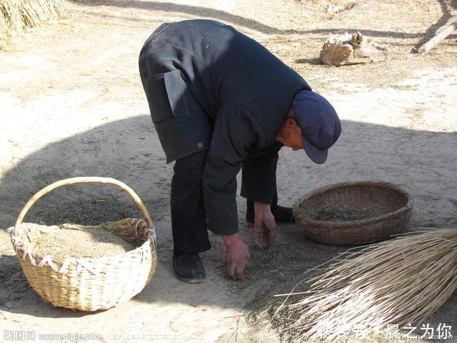 去看孙子儿媳嫌脏不让我进门，忘拿东西折返听儿媳一话，我感动哭