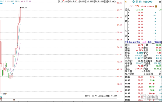 白色龙鱼大概多少钱一条啊(纯白龙鱼)