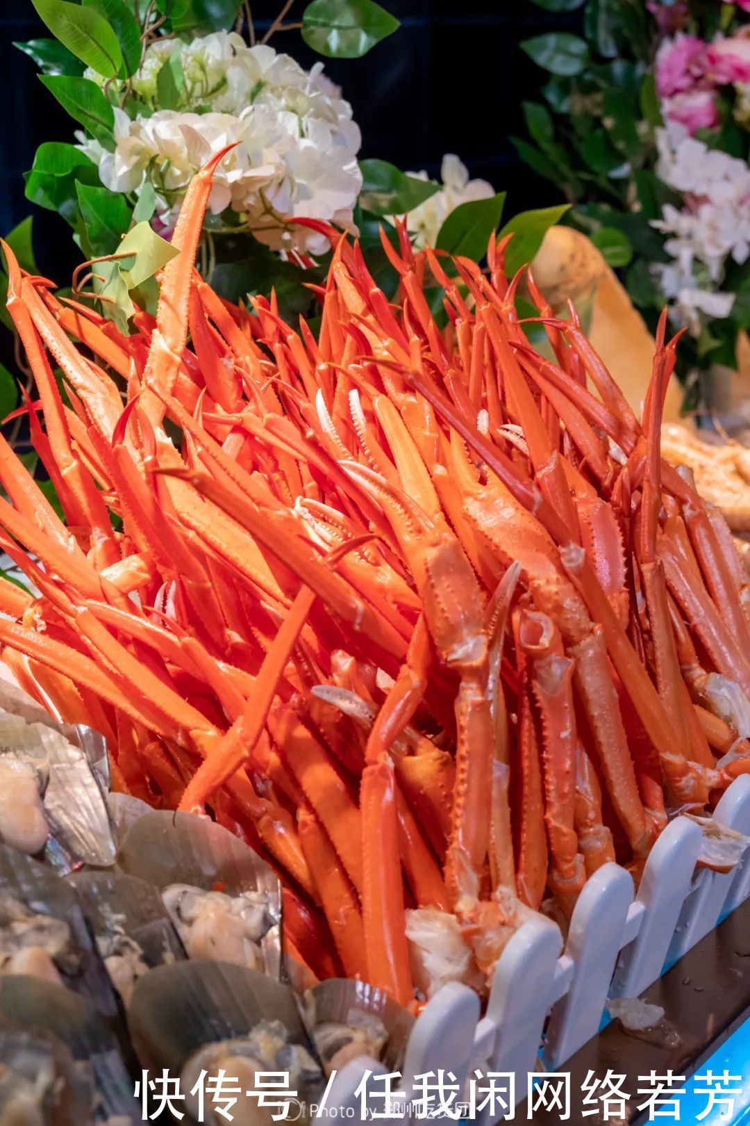 t010c6435aa4285e320.jpg?size=1080x1620