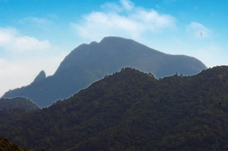 牯牛降景区