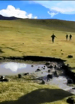 壁纸 草原 桌面 256_353 竖版 竖屏 手机 gif 动态图 动图