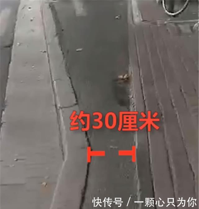 非机动车道宽度