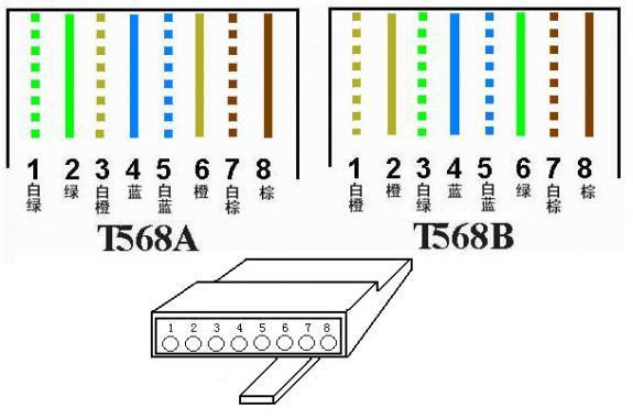 请点击此处输入图片描述 04 现在介绍两种常用的水晶头网线接法,一般