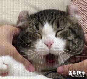 这么聪明又可爱的喵星人,难怪铲屎官对它那是爱爱爱不完啦!
