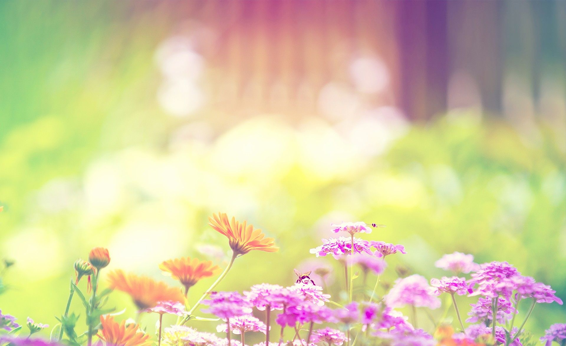 绝美风景 绿色小清新 - 悦动<em>美图</em> - 360<em>论坛</em> _36