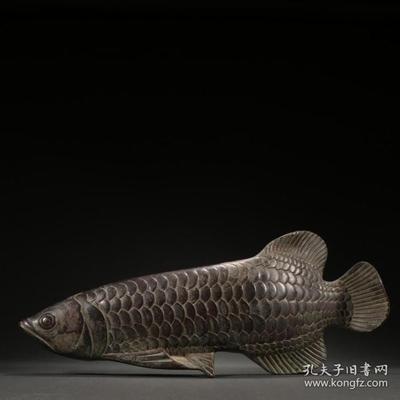 觀賞魚圖片及名稱：觀賞魚圖片及名稱價(jià)格