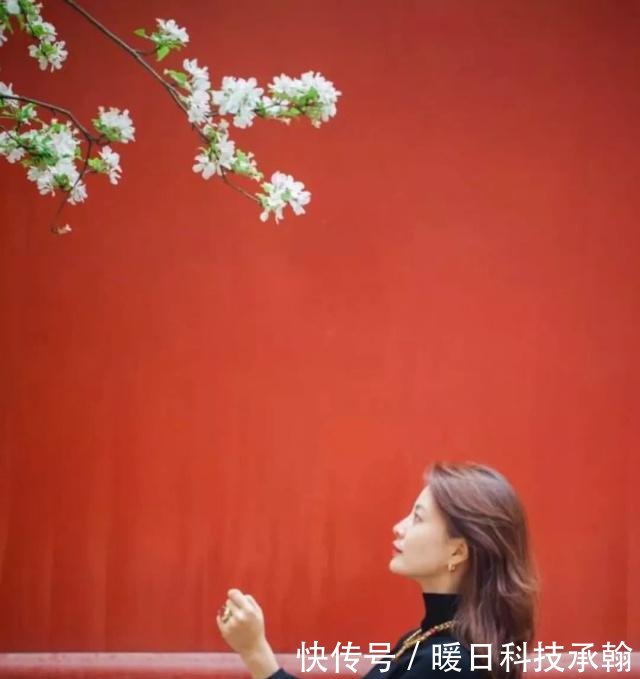 历经风霜雪雨,惟愿一路芳菲--金牌主播刘芳菲