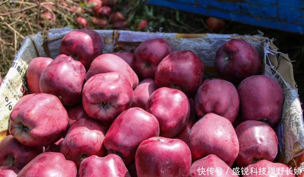 t01129850b4c14c2876.jpg?size=1000x584