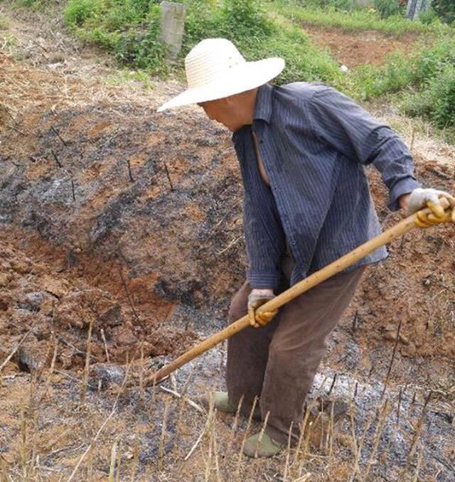 出身贫困家庭的我，大学毕业考上了公务员，父亲却把我告上法庭