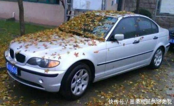 汽车不开可以放多少天修车工停车时间最好不要超过这个数 明升ms88娱乐