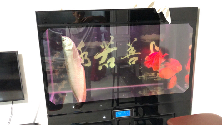 魚缸卡通（魚缸卡通圖片）