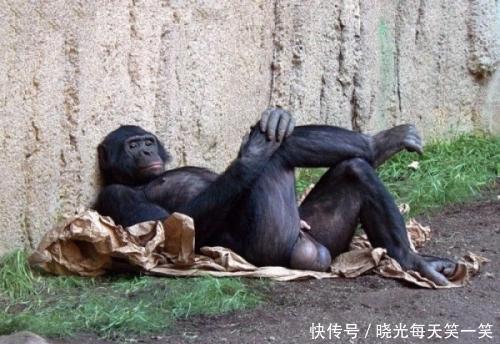酒过三巡女友对我爸说:老哥你放心你儿子跟了我没人敢欺负他 万博manbetx2.0