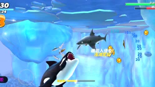 迷小差 饥饿鲨:公牛鲨被大白鲨咬了一口竟没死?生命力好强