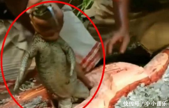 农村小伙砍树,结果听到树里有怪叫,劈开一看树也不要,直接回家