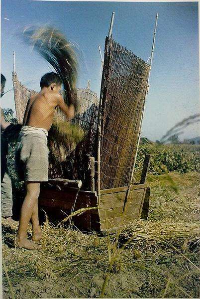 一组由飞虎队员拍摄于1945年、记录中国部分农村风物人情的老照片