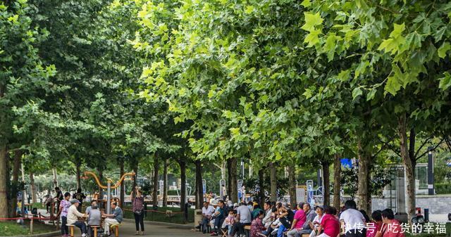 t011a256e66777c31ba.jpg?size=640x337