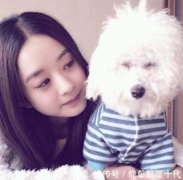 明星超圈粉:关晓彤屈膝,赵丽颖养宠物狗