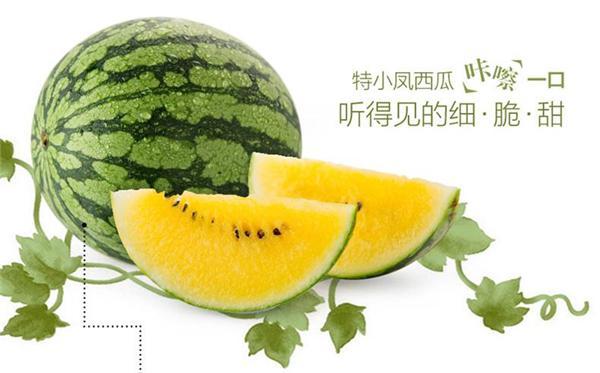 西瓜是怎么长得超大的 t011d2daa1232a1ebcb.jpg