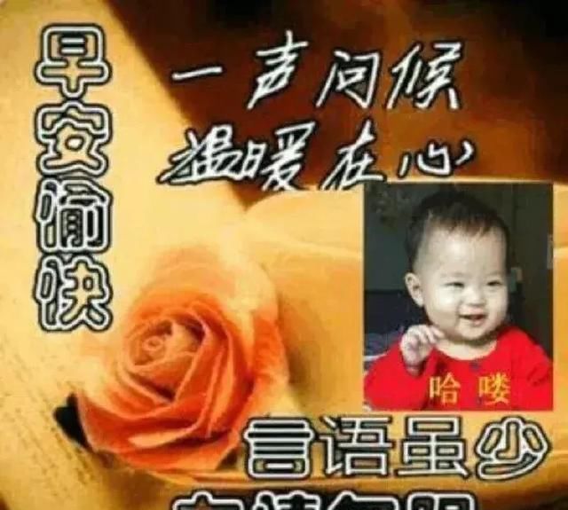 2019最新版早上好动态图片表情早上好祝福语大全包滚去搞笑图片一边图片
