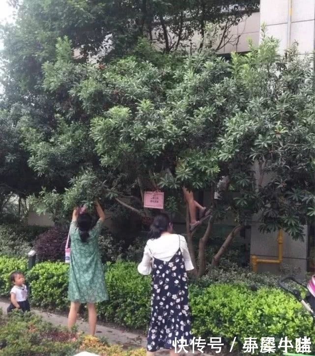 杭州廉租房