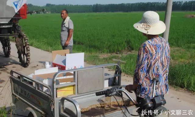 在乡村田间,竟然看到这个大怪物,相信很多人都是第一次见!!