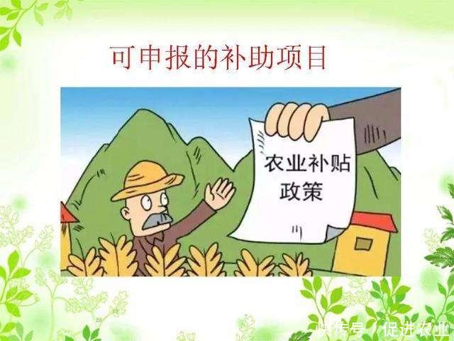 农业农村部今年都有哪些农业补贴政策呢
