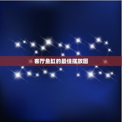 金龍魚混養(yǎng)打架怎么辦（金龍魚混養(yǎng)打架怎么辦?。? title=