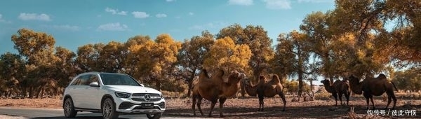 t012398f8405385ba30.jpg?size=600x170