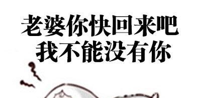 搞笑连接这样道歉的音响老公,一个人默默5.1表情功放想要图图片