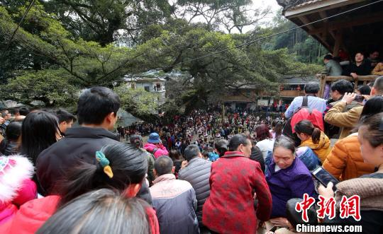 广西苗寨芦笙踩堂引游客围观