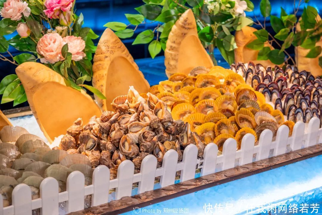 t01268ec0309a5aa1ab.jpg?size=1080x720