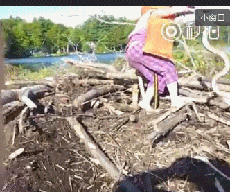 搞笑gif: 一别十年 黑猩猩依然认识它的恩人