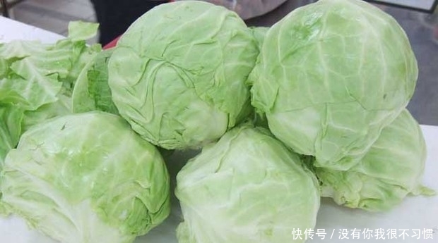 秋白菜种植技术及管理,秋白菜种植技术及管理白萝卜