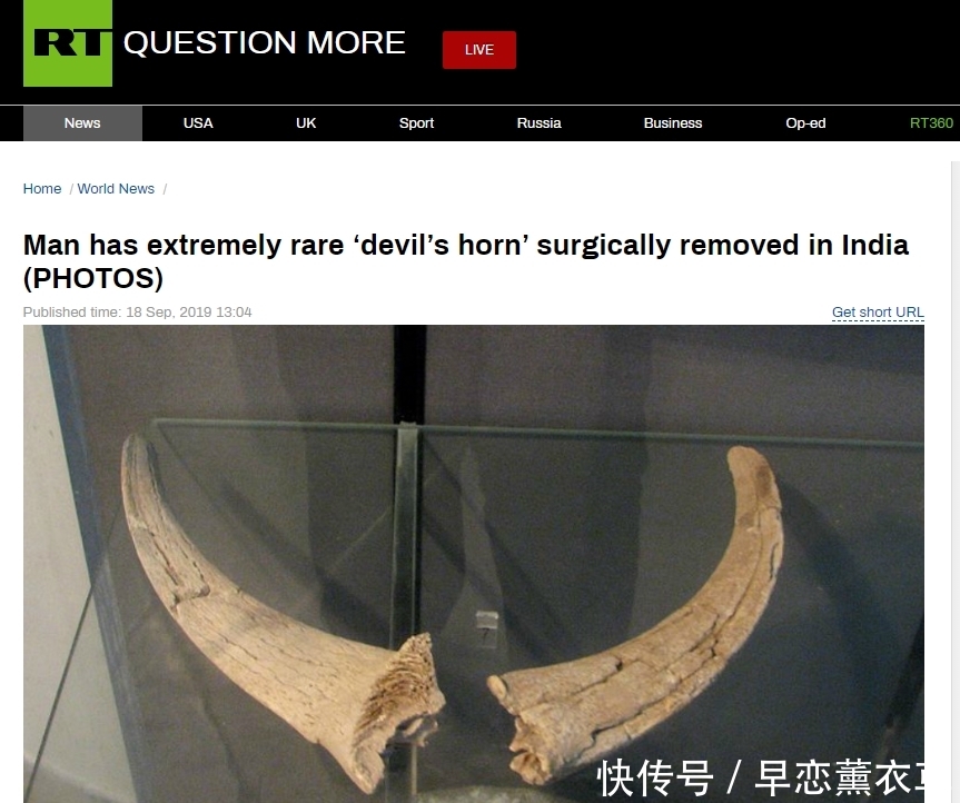 t0129c60fa987ae00a8.jpg?size=863x722