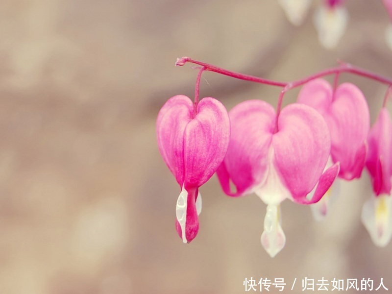 十二生肖中,3生肖中年开始财势如虹,财源得天独厚,发财惹不起