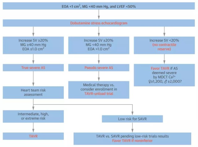 TAVR 治疗低射血分数、低跨瓣压差重度主动脉瓣狭窄患者