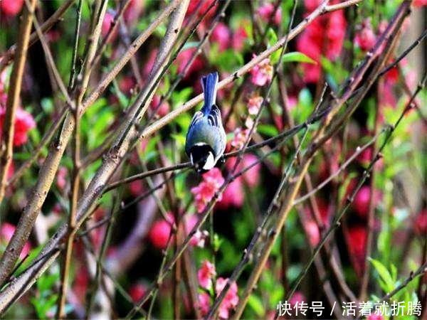 6月好运来，喜迎横财进账百万，财富四通八达，难躲富翁命3生肖