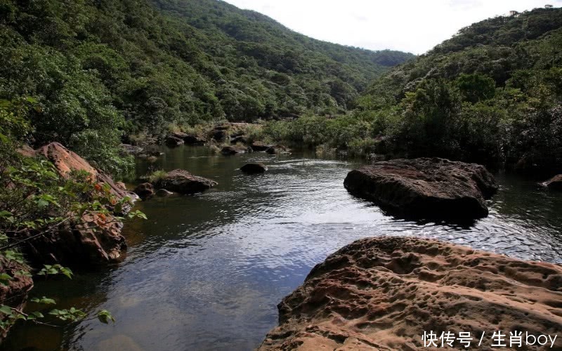 日子再穷也不用愁，4天之后3大生肖运势一飞冲天，成功翻身！