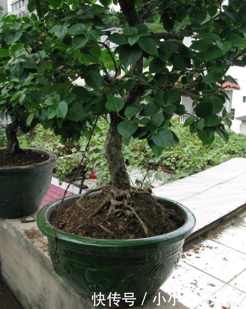 t012dd5997c47615eeb.jpg