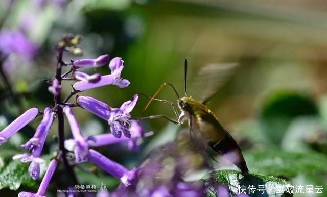 t012f303aaaa7efa170.jpg