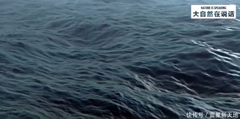 t012fafbfa1c2874ade.jpg?size=980x488