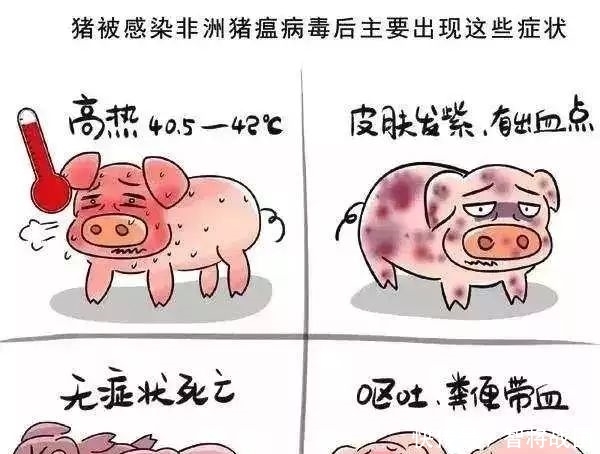 甘肃启动疫情一级响应