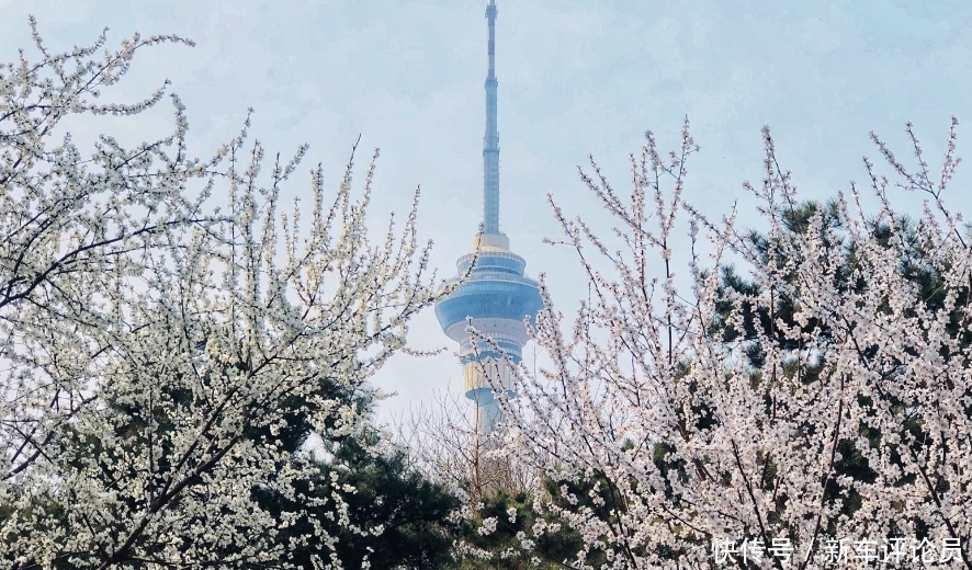 五一假期旅游推荐:北京这3个地方不要错过,别