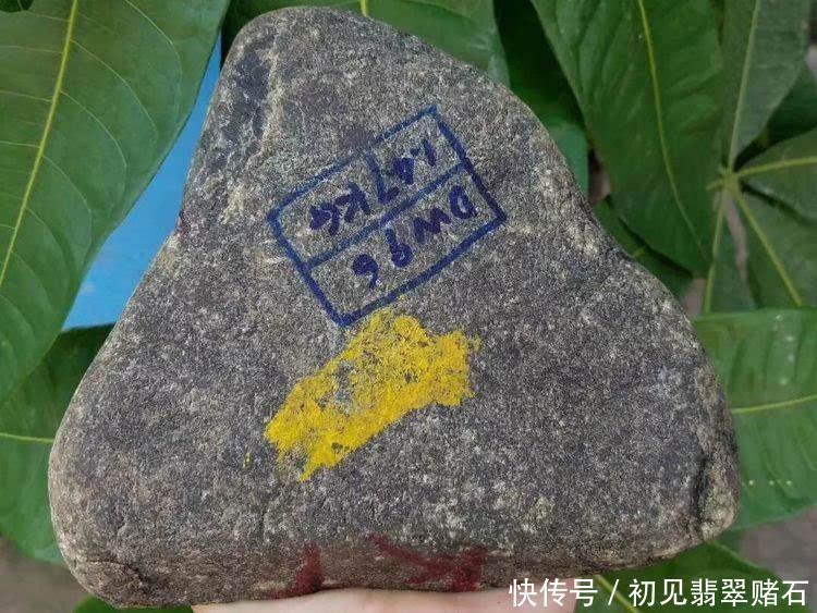 姑娘看上的一块丑原石,坚持拿下,切开让人看的揪心 百万发平台登录