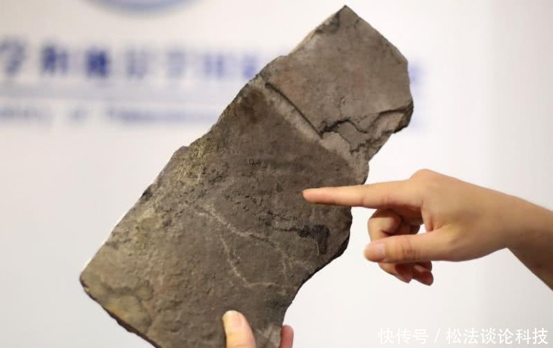 设的计师发明地球味香水;新型绝缘体或让芯片