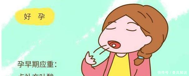 怀孕初期,孕妇应该怎么吃才能给胎儿提供足够