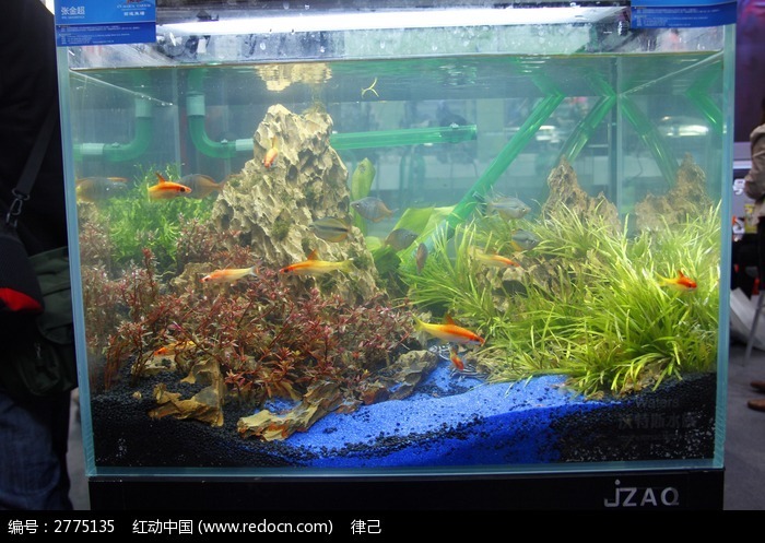 天津市靜?？h鵬鑫鑫龍水族店 全國水族館企業(yè)名錄